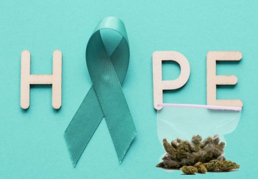 Cannabisverbindungen, die Eierstockkrebs bekämpfen? - Was zwei neue Studien Ärzten sagen