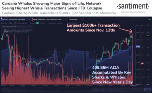 Cardano (ADA) Sees Whale Transactions Hinting Another 36% Rally