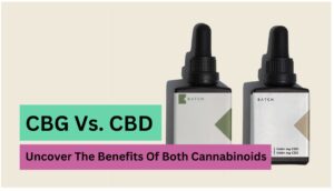 CBG Vs. CBD: Uncover The Differences And Benefits Of Both Cannabinoids 