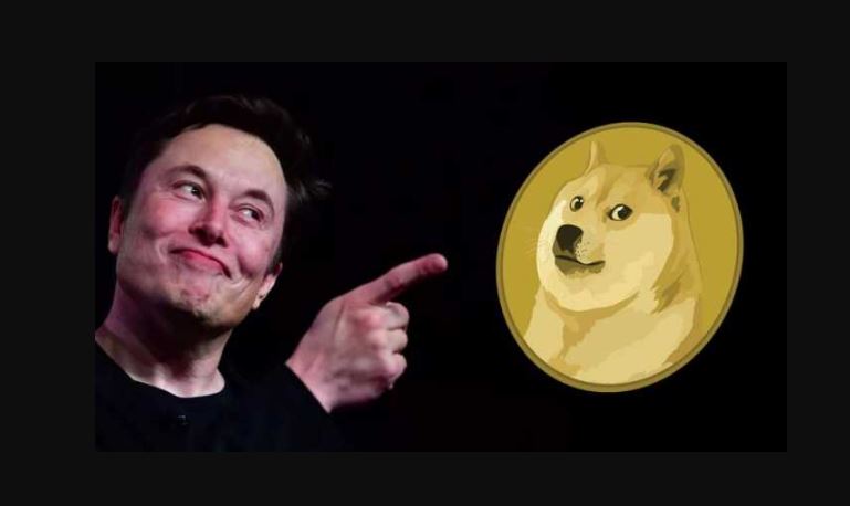 Elon Musk naredi šokantno "izpoved" o DOGE