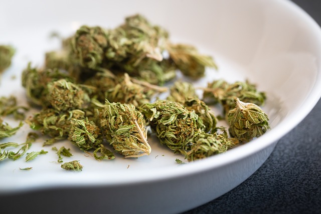 Fermier arestat, peste 4000 de plante de marijuana confiscate
