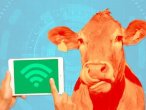 Viis asjade Interneti nutika põllumajanduse kasutusjuhtu