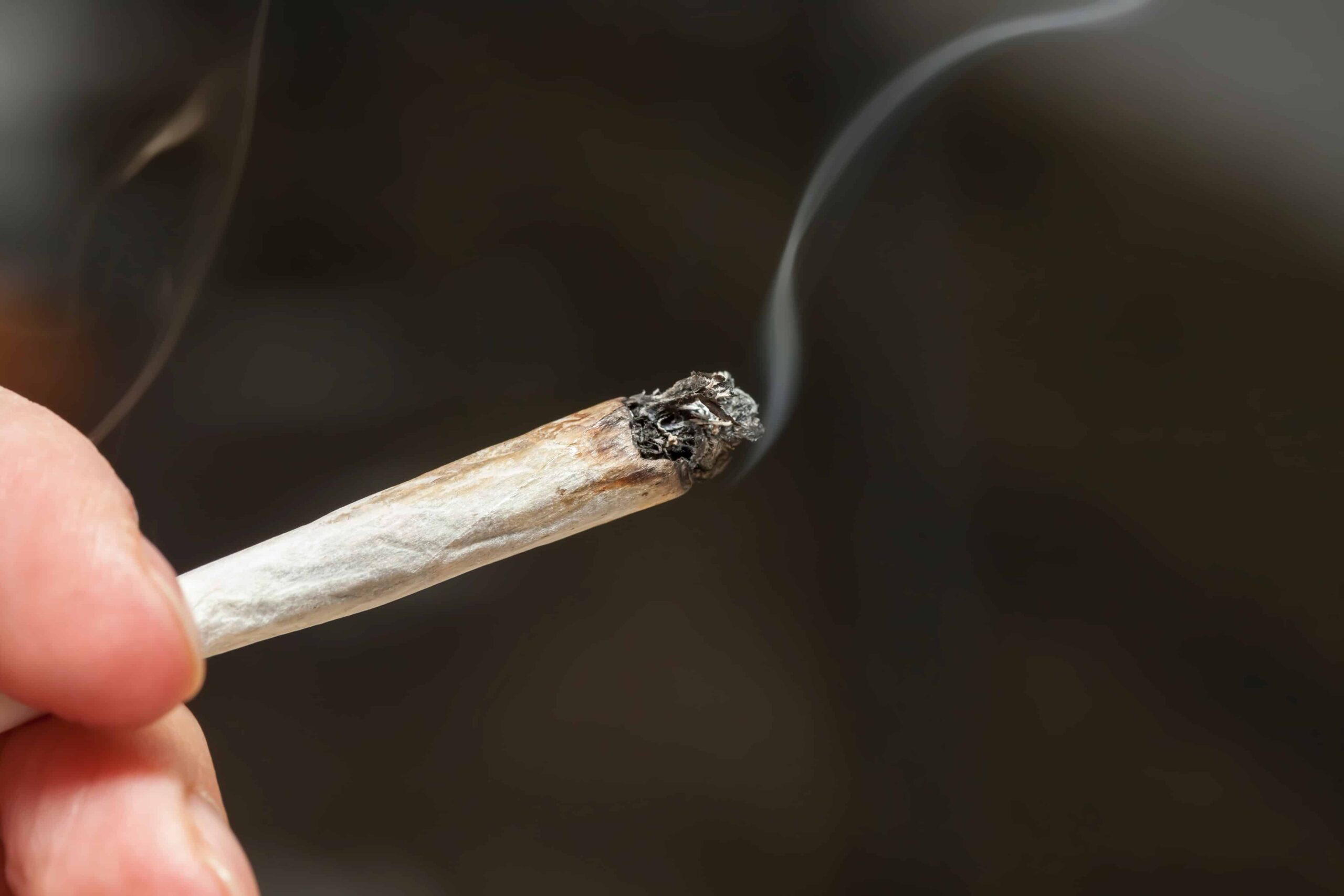 Número creciente de consumidores canadienses de marihuana Productos de origen legal