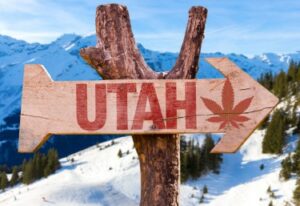 Zgadnij, jaki jest teraz największy plon konserwatywnego Utah? - Tak, Weed!