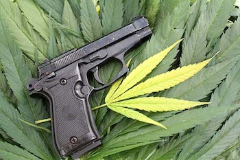Gun Ban for Cannabis Users Unconstitutional: U.S. Judge