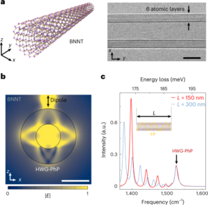 Hüperboolsed sosistava galerii fononi polaritonid boornitriid-nanotorudes