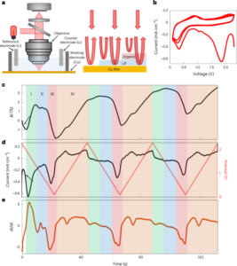 Imaging solid–electrolyte interphase dynamics using operando reflection interference microscopy