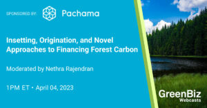 Insetting, Origination, and Novel Approaches to Financing Forest Carbon