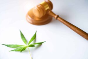 Wetsvoorstel voor legalisatie geavanceerd in New Hampshire House
