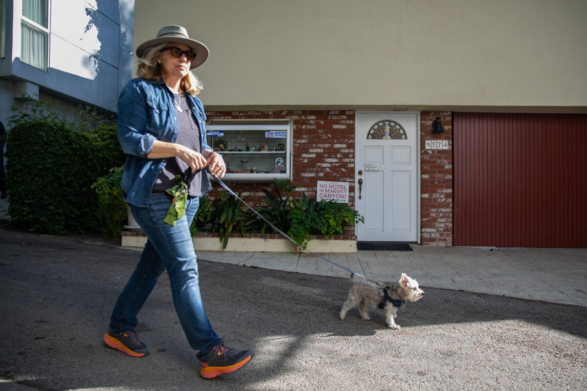 Cristina Colissimo, an opponent of a proposed luxury hotel in Benedict Canyon, walks her dog on Wanda Park Drive.