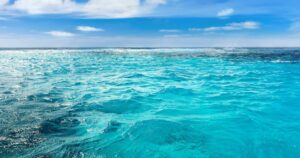 Faire des vagues : une entreprise technologique lance un protocole d'élimination du carbone basé sur l'océan