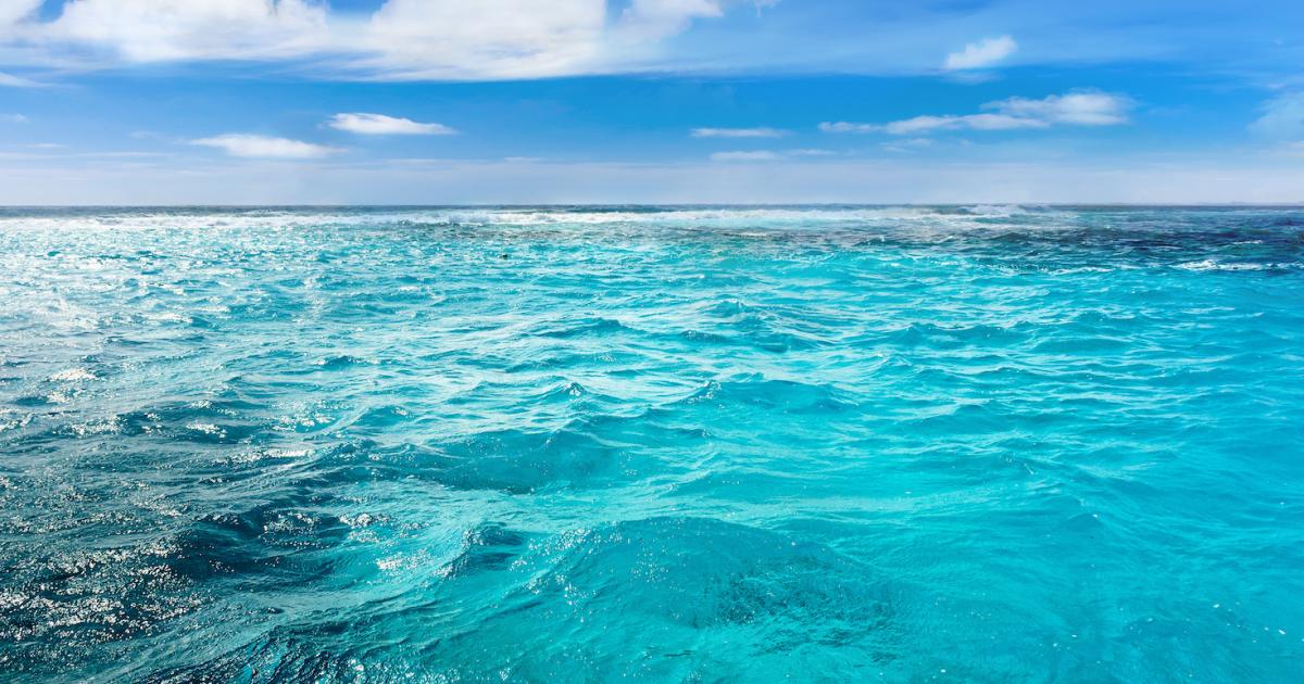 Fazendo ondas: empresa de tecnologia estreia protocolo de remoção de carbono baseado no oceano