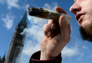 Medical Cannabis Growers Have Privacy Rights: Federal Court