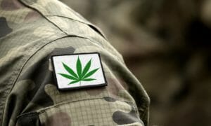 Militaire Veteraan Cannabis Onderwijs Toegang