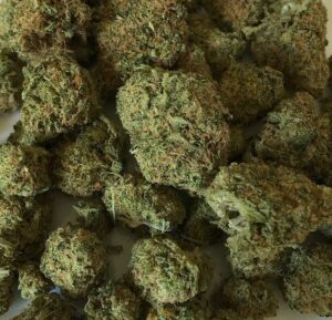 North Carolina Senate committee OKs medical marijuana bill