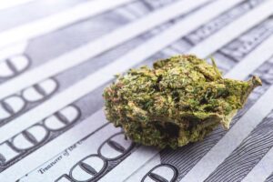 Recent rapport stelt een groei van de verkoop van cannabis voor volwassen gebruik voor tot $ 50.7 miljard in 2028