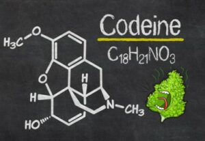 Recreatieve wiet vermindert de vraag naar codeïne, zegt nieuw onderzoek - Weer een overwinning voor cannabis vs. opioïden