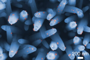 Wissenschaftler entwickeln einen Nanodraht-Assay zum Nachweis von Hirntumoren mithilfe von Urin