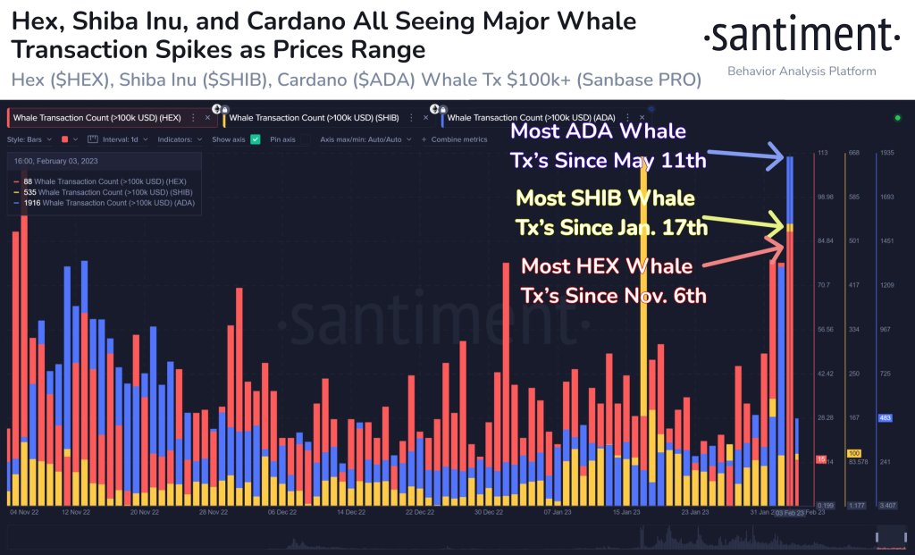 柴犬とカルダノは、100,000ドル以上のクジラ取引で大規模なスパイクを目撃していると、暗号分析会社は述べています
