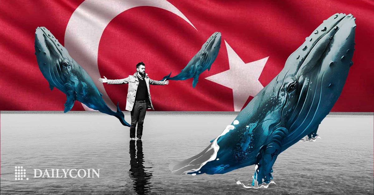 Le développeur principal de Shiba Inu (SHIB) exhorte les baleines à aider la Turquie