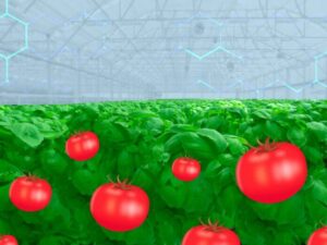 Inteligentne rolnictwo i rozwiązania IoT dają rolnikom większe możliwości