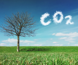 A kétpárti megoldás a szén-dioxid-kibocsátásra