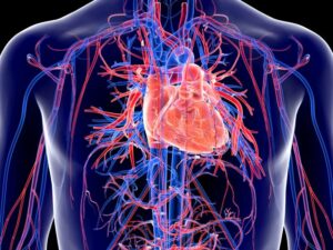 The increasing importance of national heart health month