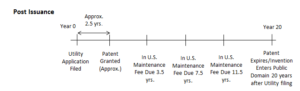 De opmerkelijke voordelen en uitdagingen van patenten voor software