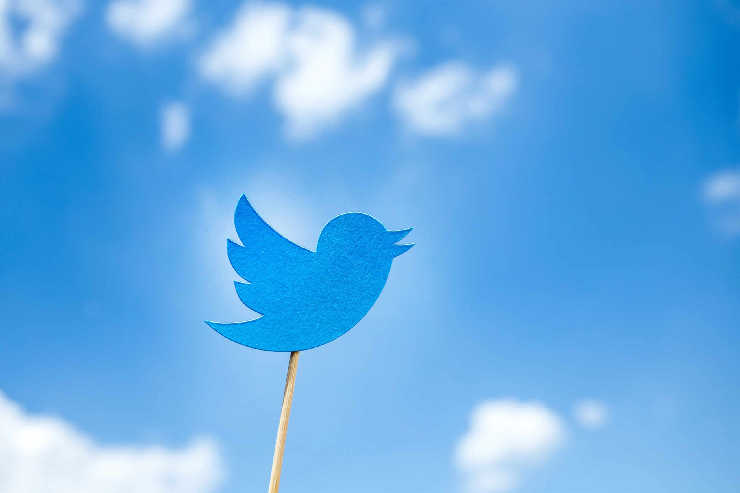 Twitter autorisera le THC, le CBD et les publicités associées aux États-Unis