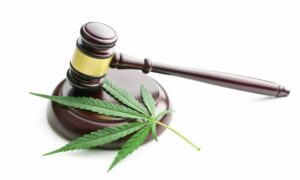 連邦裁判所が支持するワシントン州の大麻居住要件