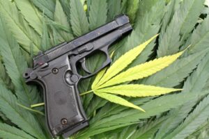 Kommer pistolkontrolllagarna att mjukna upp för cannabisanvändare?