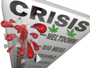 Wird die Marihuana-Industrie bis 51 2028 Milliarden Dollar wert sein, wie ein neuer Bericht vorschlägt?