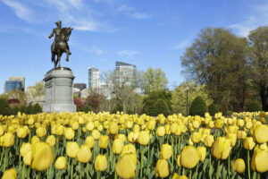 10 saker att göra i Boston under våren
