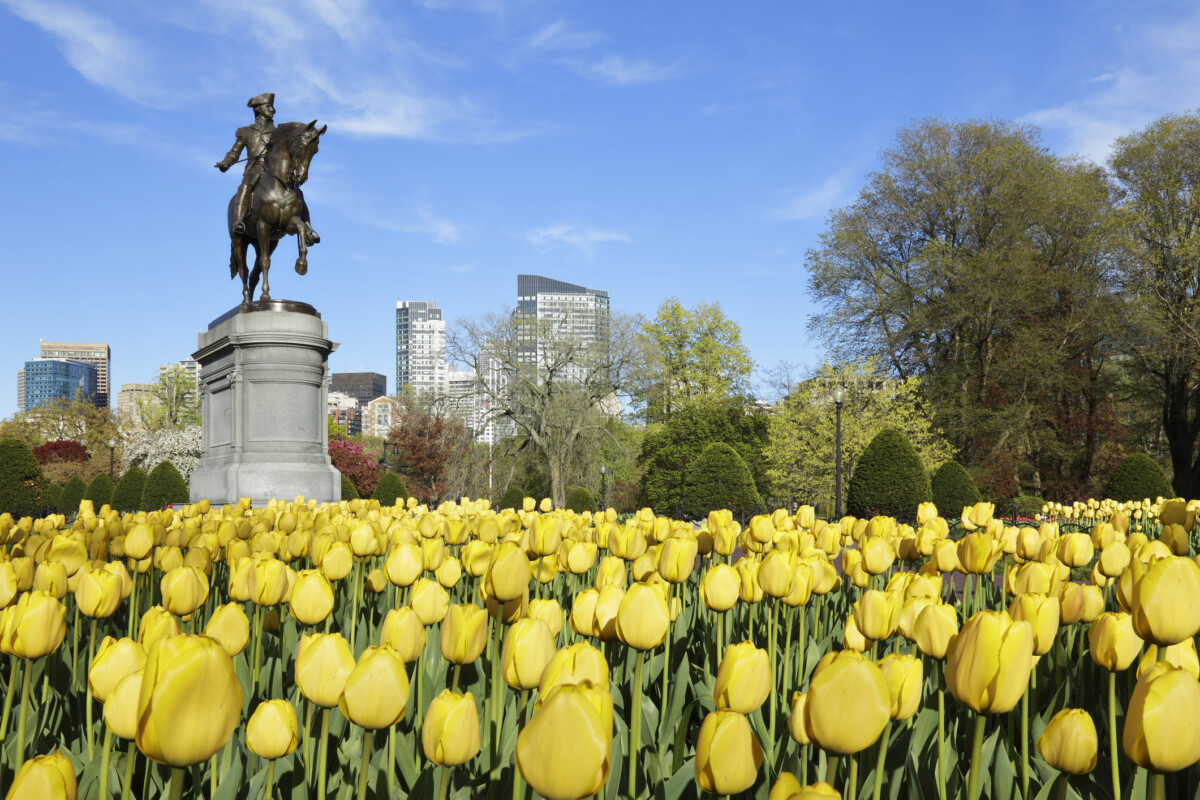 10 สิ่งที่ต้องทำในบอสตันในฤดูใบไม้ผลิ