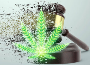 所有大麻吸食者在使用大麻时应遵守的 21 条新大麻文化法