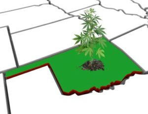 2,600 dispensarios y ahora agregando cannabis recreativo, ¿qué podría salir mal en Oklahoma?