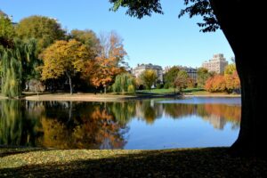 7 népszerű park Cambridge-ben, MA, amelyeket a helyiek szeretnek