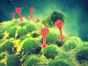 바이러스 단백질의 항생 특성을 스크리닝하는 빠르고 새로운 방법