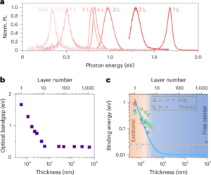 Dependencia anómala del espesor del rendimiento cuántico de fotoluminiscencia en fósforo negro