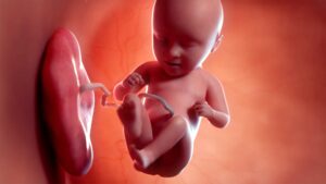 शिशु भौतिकी: गर्भाधान, गर्भावस्था और प्रारंभिक जीवन