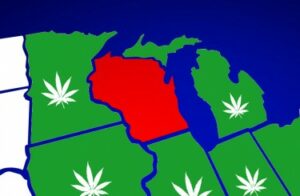 Tigger din nabos skattekroner? - Indbyggere i Wisconsin gav staten Illinois 36 millioner dollars i skatteindtægter fra cannabis