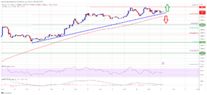 Bitcoin Bulls Take Break, What Could Trigger A Downside Correction