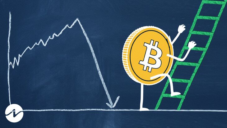 Bitcoin-Preis zurück auf 22 $, Zeichen der Erholung?