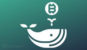 Bitcoin Price Fall Ignites Huge “Buy The Dip” Moment For Whales As BTC Accumulation Heightens