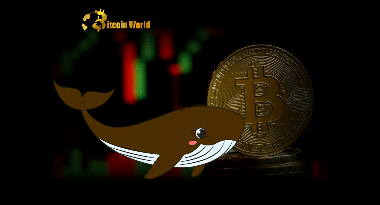 Prognoza cen bitcoinów jako ogromnych powodzi wolumenu handlu o wartości 75 miliardów dolarów – czy wieloryby kupują?
