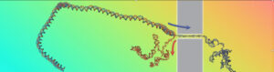 Verbindingen verbreken: uitpakken met dubbele helix onthult DNA-fysica
