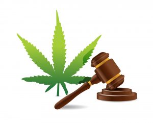 Cannabis 2022 Laws & Workplace Impact