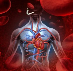 Каннабис вызывает 34-процентное увеличение заболеваемости ишемической болезнью сердца (ИБС) — не так быстро, давайте посмотрим на данные, использованные в исследовании