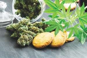 Cannabis Product Handling, Storage & Contamination