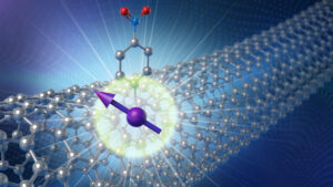 Koolstofnanobuis is de ideale thuisbasis voor het draaien van kwantumbits